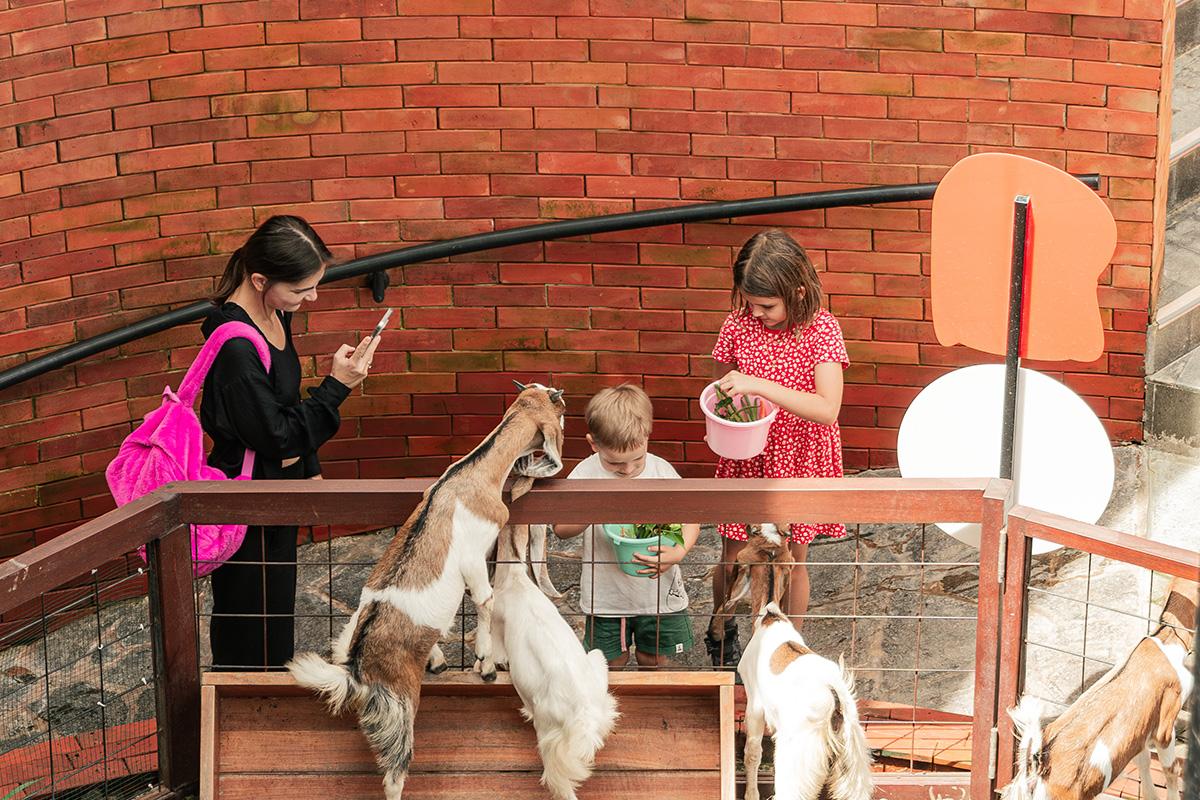 Parent-Child Bonding Activities