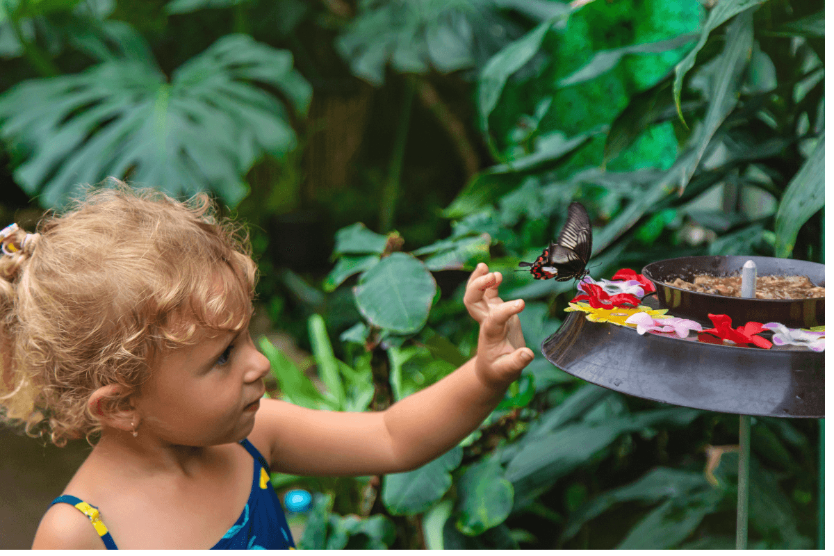 Tempat Wisata Anak di Bali